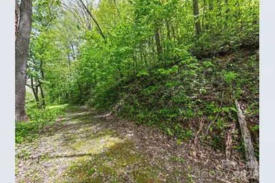 00 Locust Trail, Waynesville, NC 28785 - Photo 20