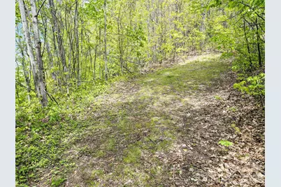 00 Locust Trail, Waynesville, NC 28785 - Photo 18