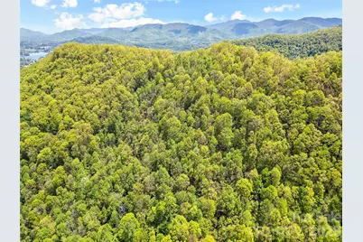 00 Locust Trail, Waynesville, NC 28785 - Photo 6