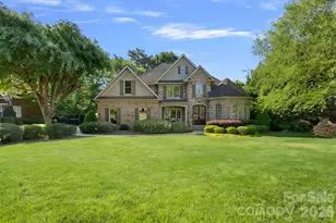 206 Pear Tree Ct, Fort Mill, SC 29715 - Photo 44