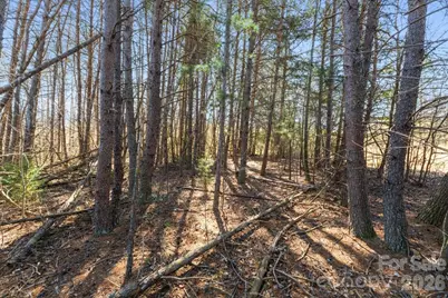 00 E Memorial Highway, Harmony, NC 28634 - Photo 34