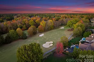 8700 Longview Club Drive, Waxhaw, NC 28173 - Photo 4