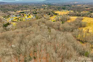 51 Leatherwood Dr, Candler, NC 28715 - Photo 46