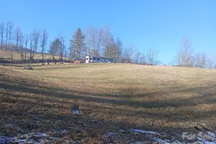 1874 Double Island Rd, Green Mountain, NC 28740 - Photo 2