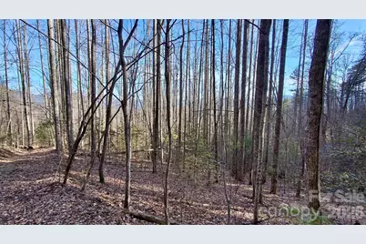0 Briarwood Road, Webster, NC 28788 - Photo 6