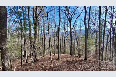 0 Briarwood Road, Webster, NC 28788 - Photo 4
