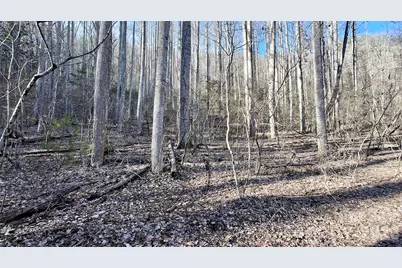 0 Briarwood Road, Webster, NC 28788 - Photo 10