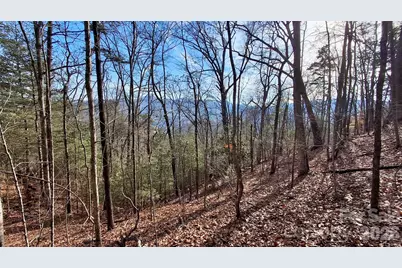 0 Briarwood Road, Webster, NC 28788 - Photo 8