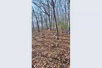 0 Briarwood Road, Webster, NC 28788 - Photo 22