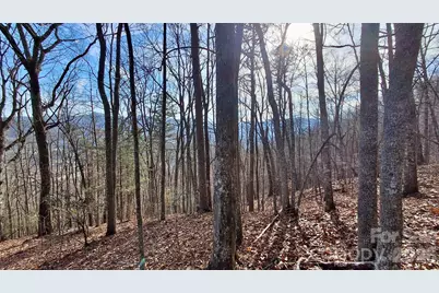 0 Briarwood Road, Webster, NC 28788 - Photo 2