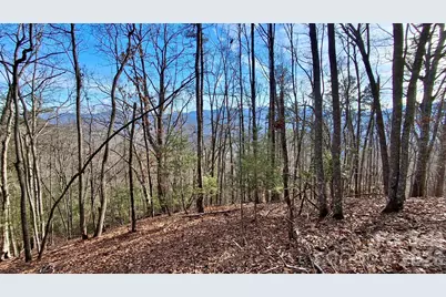 0 Briarwood Road, Webster, NC 28788 - Photo 1