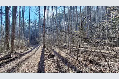 0 Briarwood Road, Webster, NC 28788 - Photo 16