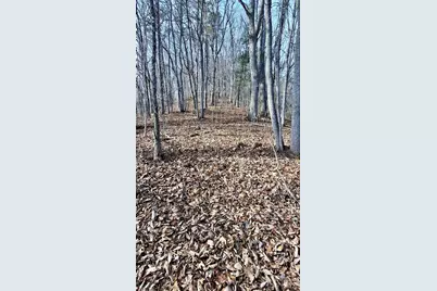 0 Briarwood Road, Webster, NC 28788 - Photo 24