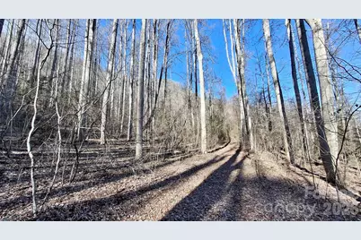 0 Briarwood Road, Webster, NC 28788 - Photo 14