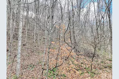 Lot 4D Pelican Place, Waynesville, NC 28786 - Photo 8