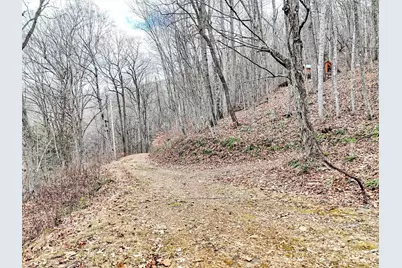 Lot 4D Pelican Place, Waynesville, NC 28786 - Photo 4