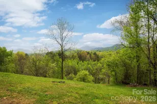 69 Heslar Way, Marshall, NC 28753 - Photo 32