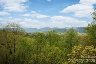 69 Heslar Way, Marshall, NC 28753 - Photo 6