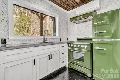 1115 Paint Rock Road, Hot Springs, NC 28743 - Photo 6