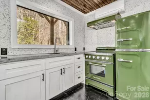 1115 Paint Rock Rd, Hot Springs, NC 28743 - Photo 10