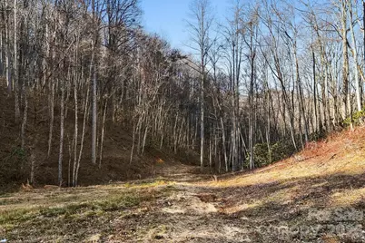 14 Selway Drive, Candler, NC 28715 - Photo 36