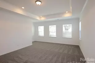 12113 Avienmore Dr, Charlotte, NC 28278 - Photo 22