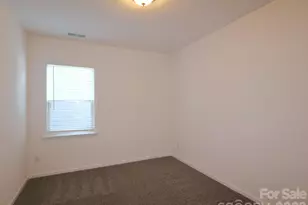 12113 Avienmore Dr, Charlotte, NC 28278 - Photo 16