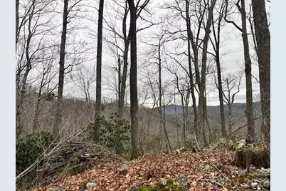 C-114 Spring Water Lane, Banner Elk, NC 28604 - Photo 6