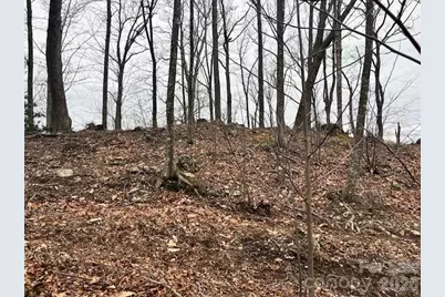 C-114 Spring Water Lane, Banner Elk, NC 28604 - Photo 4