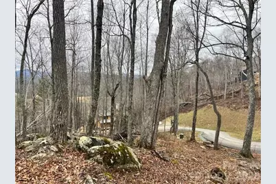 C-114 Spring Water Lane, Banner Elk, NC 28604 - Photo 8