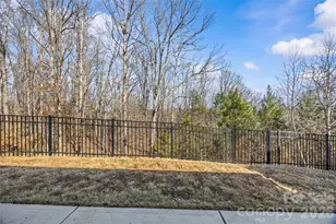 609 Cape Fear St, Fort Mill, SC 29715 - Photo 4
