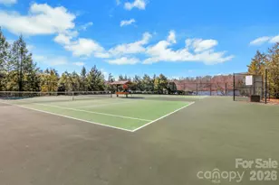 4 Hoolet Ct, Candler, NC 28715 - Photo 38