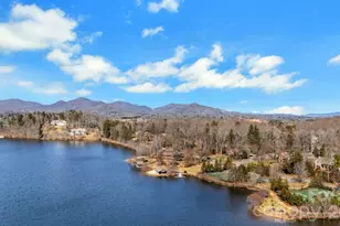 4 Hoolet Ct, Candler, NC 28715 - Photo 44