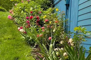 4 Hoolet Ct, Candler, NC 28715 - Photo 34