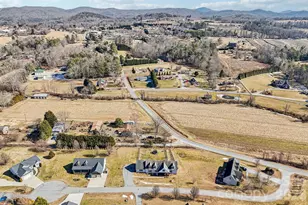 76 Cheraw Ln, Flat Rock, NC 28731 - Photo 38