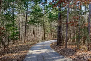 2207C Horton Cove Lake Water Rd, Camden, SC 29020 - Photo 6