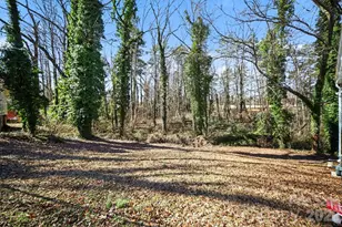 1203 Iva Ave, Gastonia, NC 28052 - Photo 14