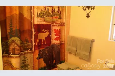 41 Shirdash Drive, Maggie Valley, NC 28751 - Photo 8