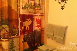 41 Shirdash Dr, Maggie Valley, NC 28751 - Photo 8