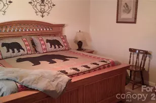 41 Shirdash Dr, Maggie Valley, NC 28751 - Photo 10