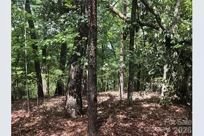 0 Buffalo Creek Road #Lot 35, Lake Lure, NC 28746 - Photo 1