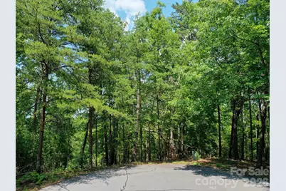 0 Buffalo Creek Road #Lot 35, Lake Lure, NC 28746 - Photo 4