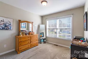 757 Painted Lady Ct, Rock Hill, SC 29732 - Photo 24