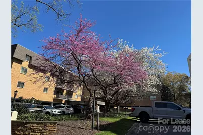 1323 Queens Road #303, Charlotte, NC 28207 - Photo 38