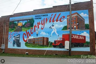 514 N Mulberry St, Cherryville, NC 28021 - Photo 36