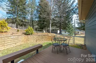 18 Hoye Ln, Candler, NC 28715 - Photo 36