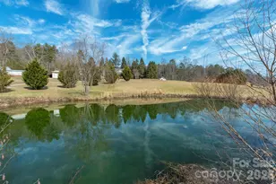 18 Hoye Ln, Candler, NC 28715 - Photo 38