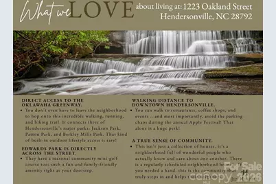 1223 Oakland Street, Hendersonville, NC 28792 - Photo 38