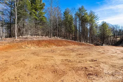 Tbd Kelly Hunter Road, Marshall, NC 28753 - Photo 16