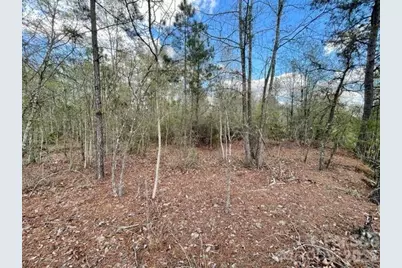 0000 Hwy 1 Bypass, Cheraw, SC 29520 - Photo 2